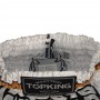 Top King TKTBS-051 Шорты Тайский Бокс 